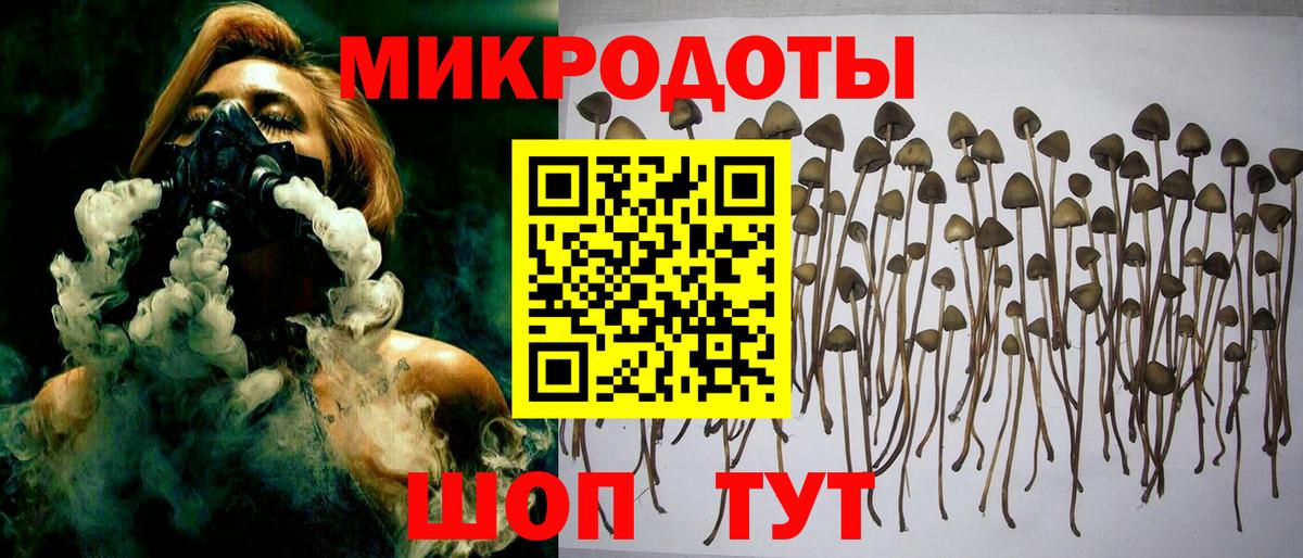 Псилоцибиновые грибы мицелий  купить   Архангельск  Вход с VPN 